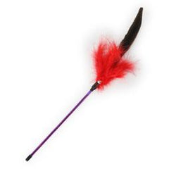 Cat Chasing Feather Toy