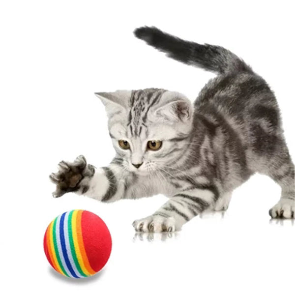 Foam Ball Colorful Dog Cat Toy