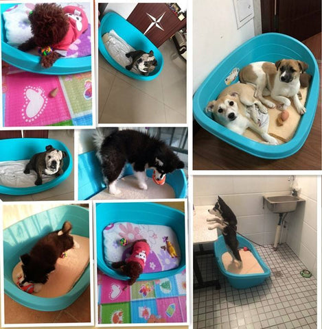 Plastic Pet Kennel with Soft Cotton Pad